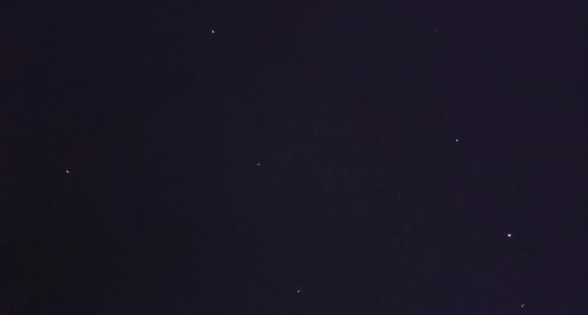 Мышей отправляют в космос в специальной капсуле