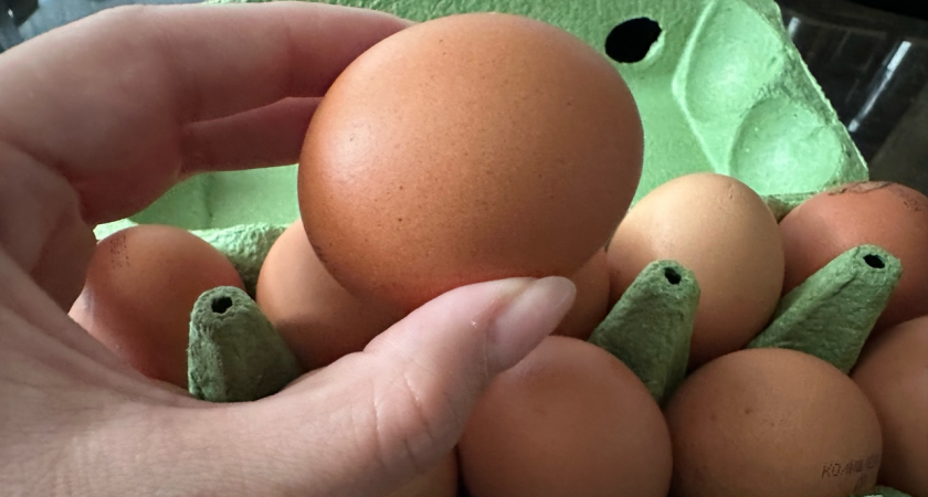 Почему нельзя есть яйца вкрутую