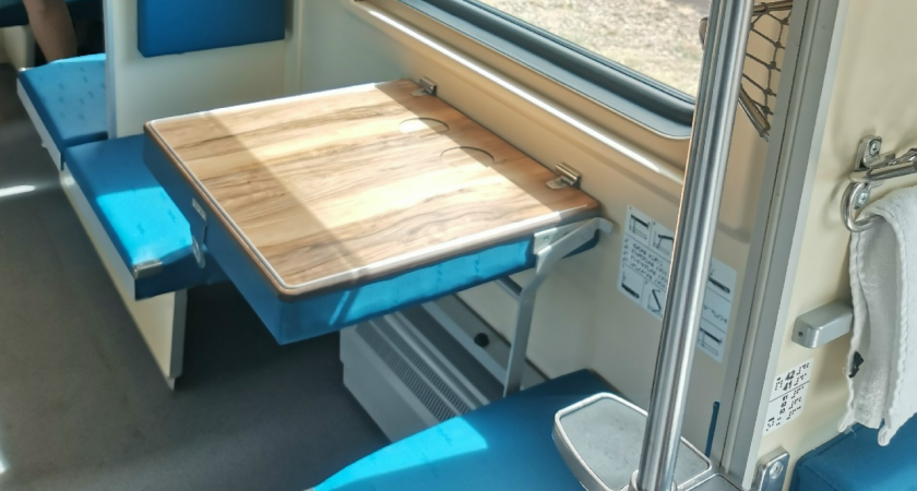 Реальная история одной поездки на поезде