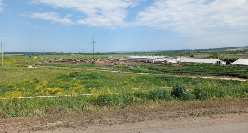 В Новотроицке закроют под бетонный купол сибиреязвенный скотомогильник