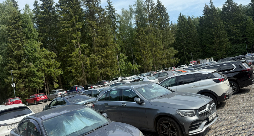 Юристы рассказали, куда жаловаться на неправильную парковку соседей