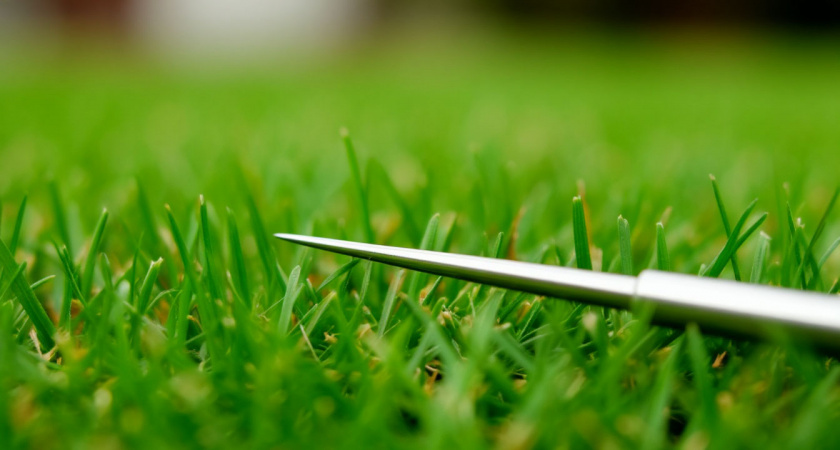 Нашёл у ворот дома необычную иглу: показал жене и соседке, они сильно забеспокоились - зато очень обрадовался сосед