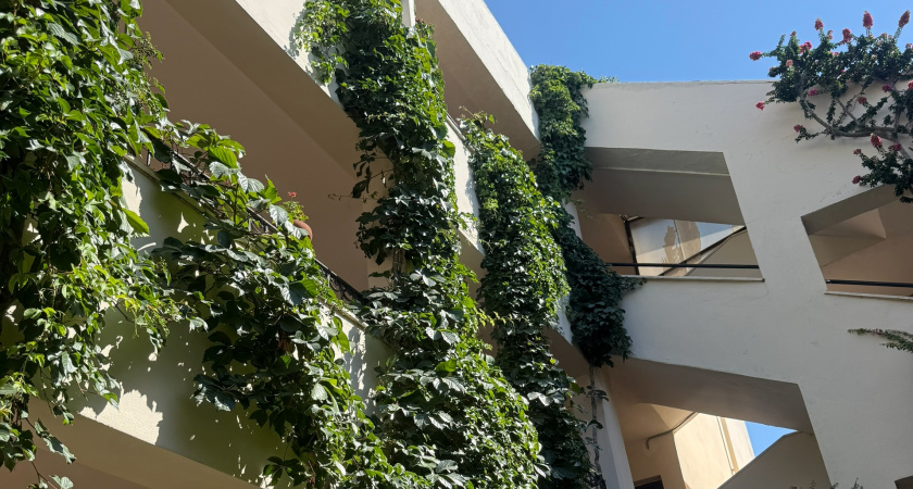 8 полезных в быту вещей, которые из отеля можно забрать совершенно законно - никогда бы сам не догадался