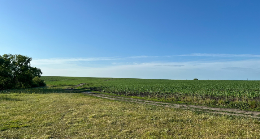 Оренбургские аграрии ведут сев озимых культур