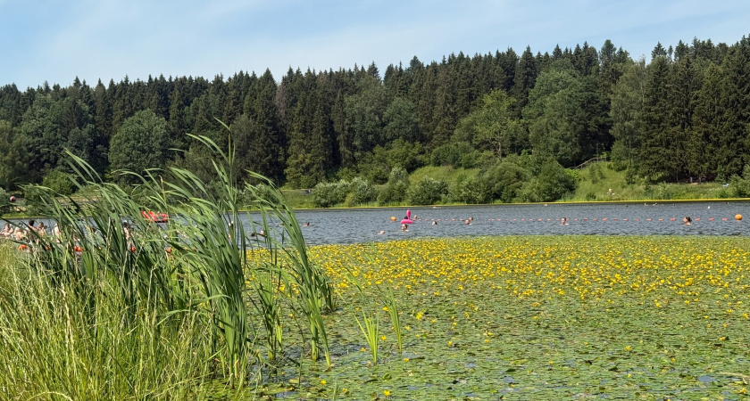 Ждать ли россиянам бабье лето: новый точный прогноз погоды на сентябрь 2025