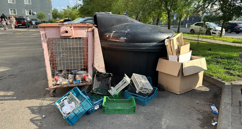 Жители села Новоалександровка в Бузулукском районе жалуются на свалку 