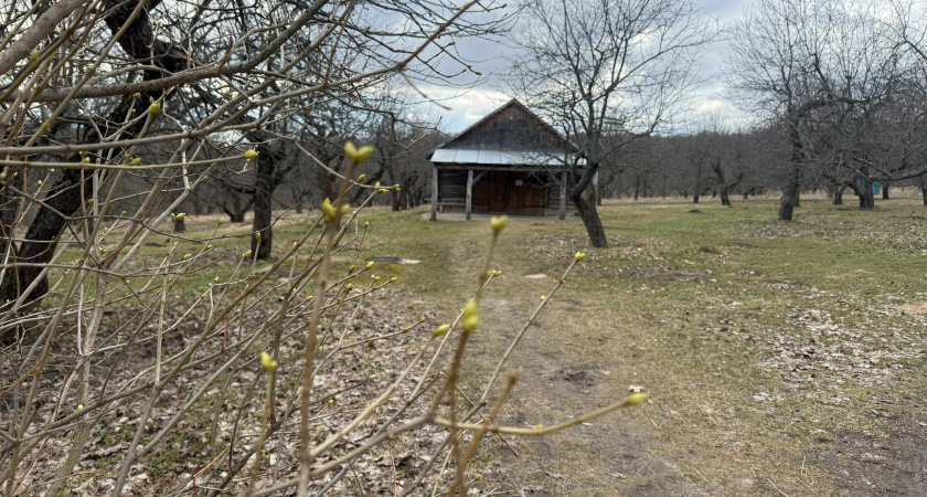 Оренбуржец через суд добился денег за дачу, затопленную во время паводка