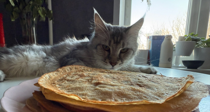 Продукты, полезные для худеющих