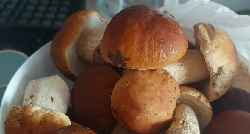 Рецепт маринованных грибов