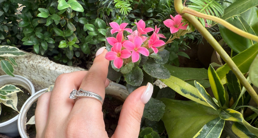 Какие растения, по поверьям, не стоит держать в доме