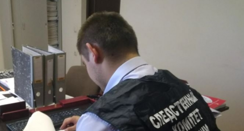 По факту изнасилования в Бузулуке Александр Бастрыкин потребовал от подчиненных доклад