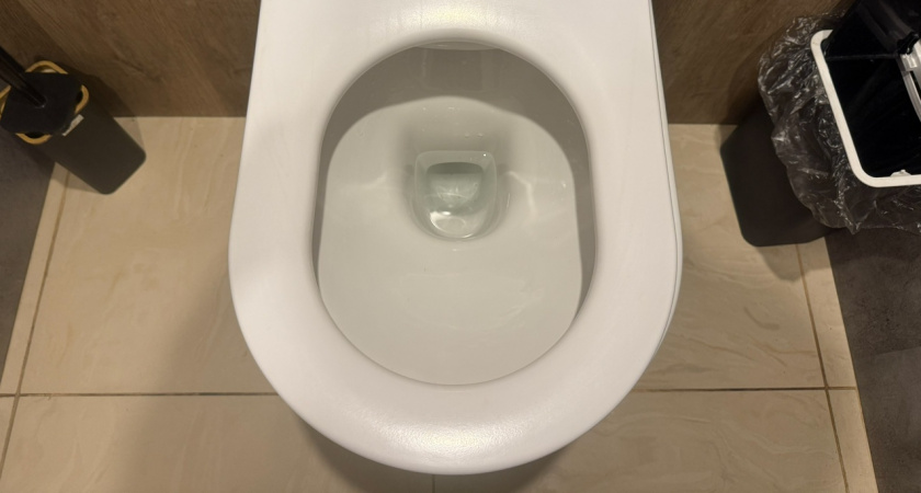 Эффективный метод очистки туалета