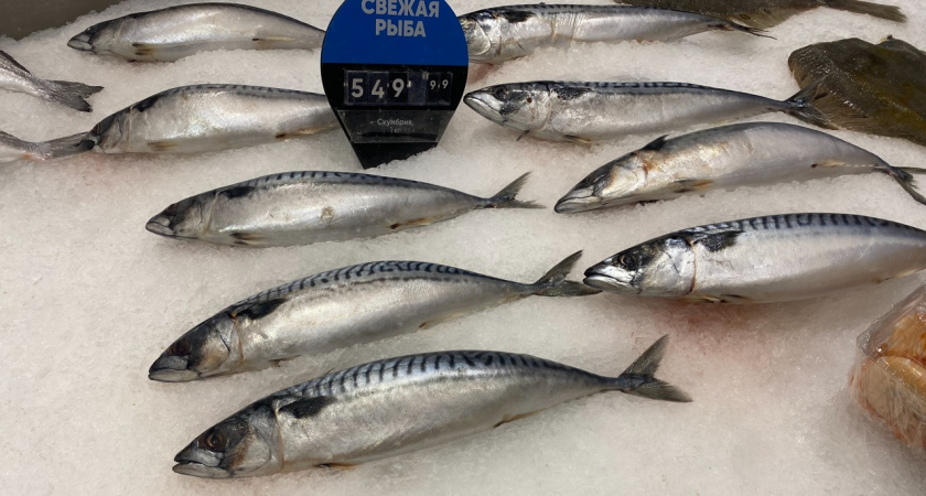 История покупки рыбы в "Светофоре" и обзор на нее