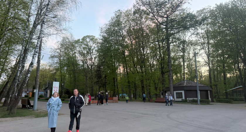 В Бузулукском бору продолжается обустройство тропы для маломобильных граждан