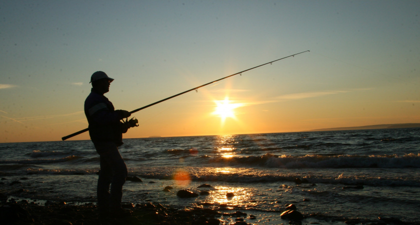 Правила ловли сазана