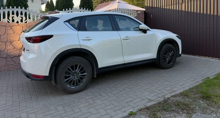 Почему автомобили в Беларуси дешевле, чем в России