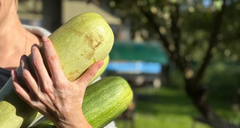 Почему не следует отдавать излишки своего урожая