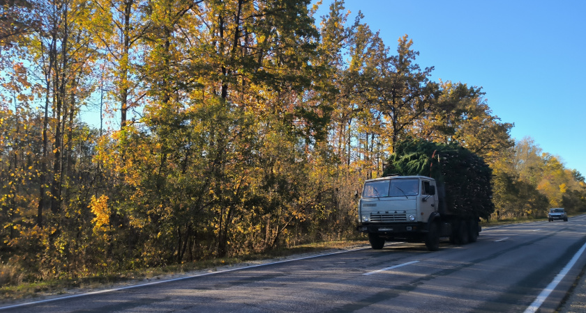 В Оренбурге продолжается ремонт дорог