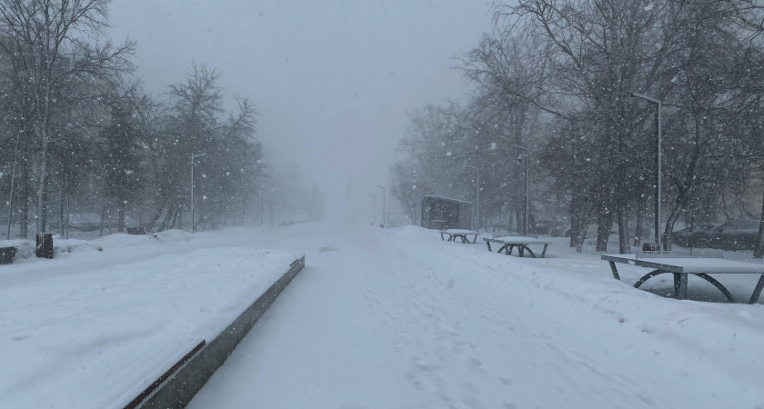 Прогноз синоптиков на зиму 2025-2026