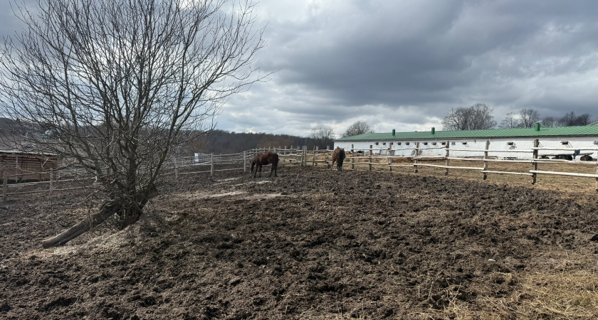 В Адамовском районе удалось спасти жилой дом от огня