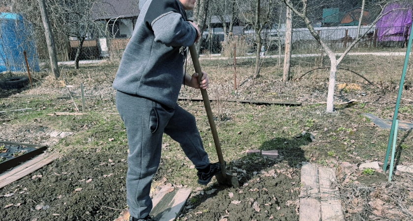 Развинчивание мифа о том, что крупа улучшает качество почвы