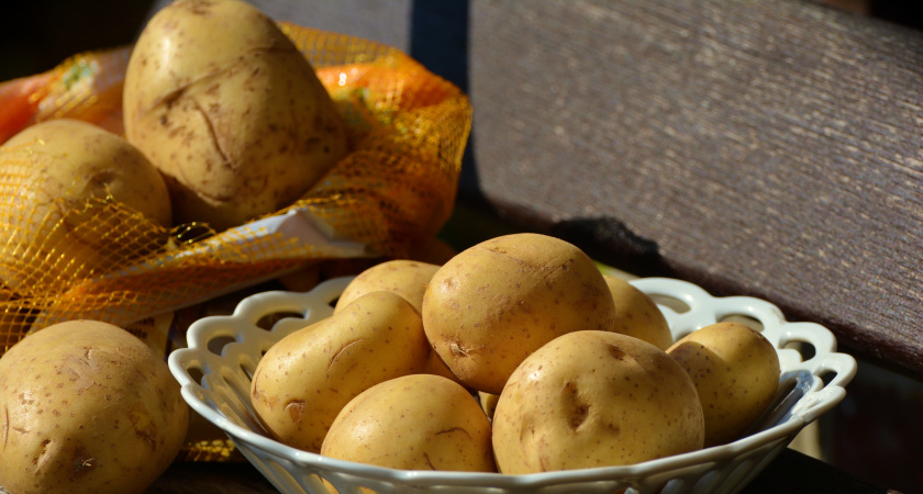 Сорта картофеля с хорошей урожайностью, размером и стойкостью к болезням, а также природной непостоянности 