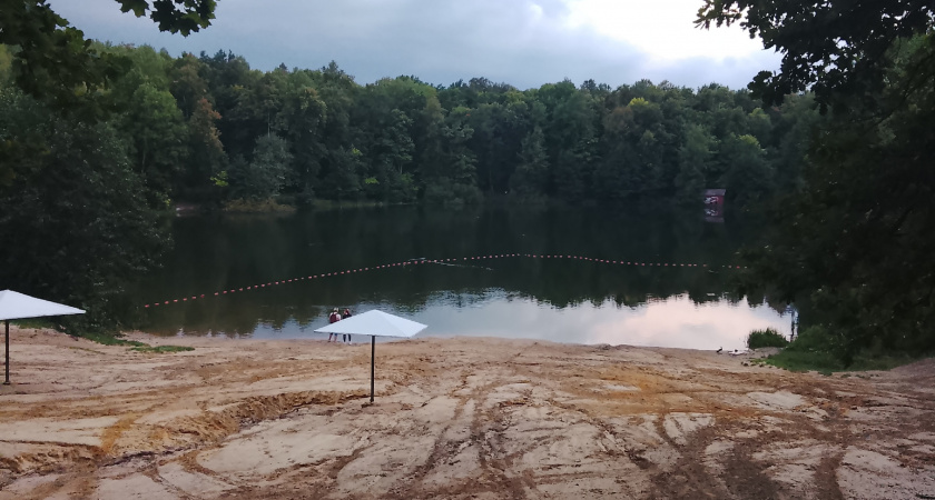 В Оренбуржье высадят новый лес на площади почти 300 гектаров