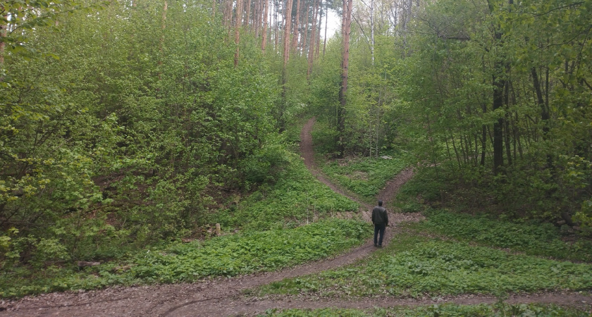 Обзор на одну из наиболее дорогих ягод России