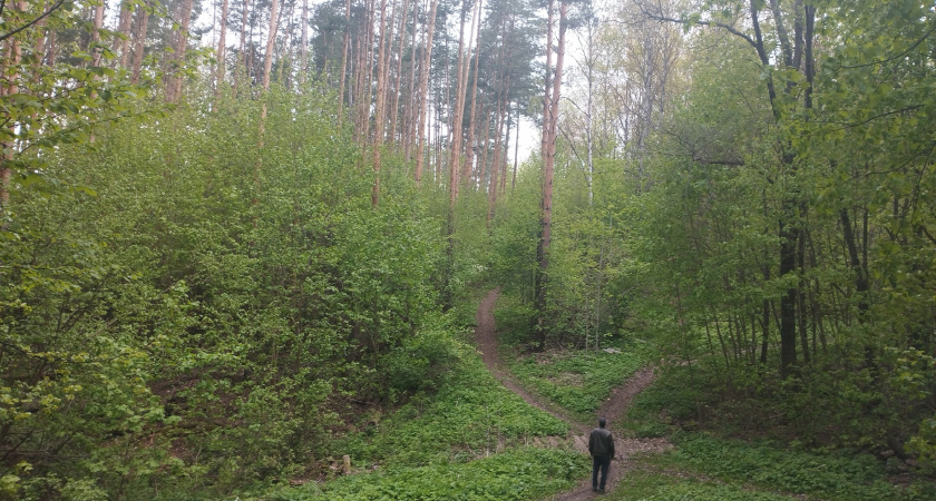 Пенсионера с потерей памяти нашли после пяти дней поисков под Оренбургом