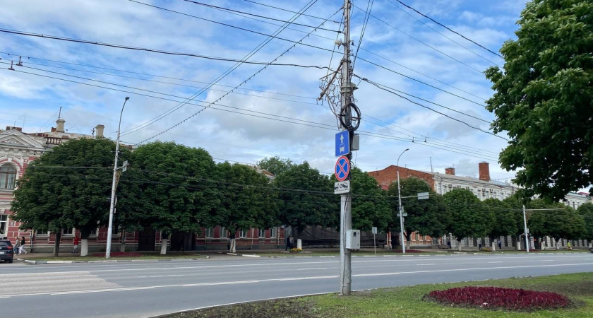 В поселке Энергетик начали спиливать опасные деревья