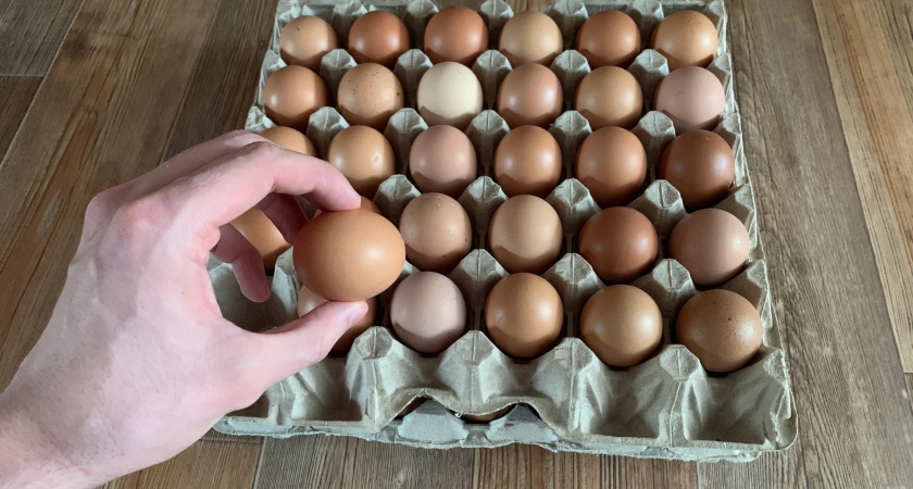 Яйца какой категории более прочих заслуживают стать фаворитами потребителей