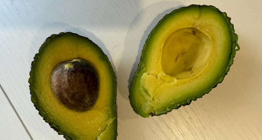 История высаживания косточки авокадо — что выросло за 2 месяца
