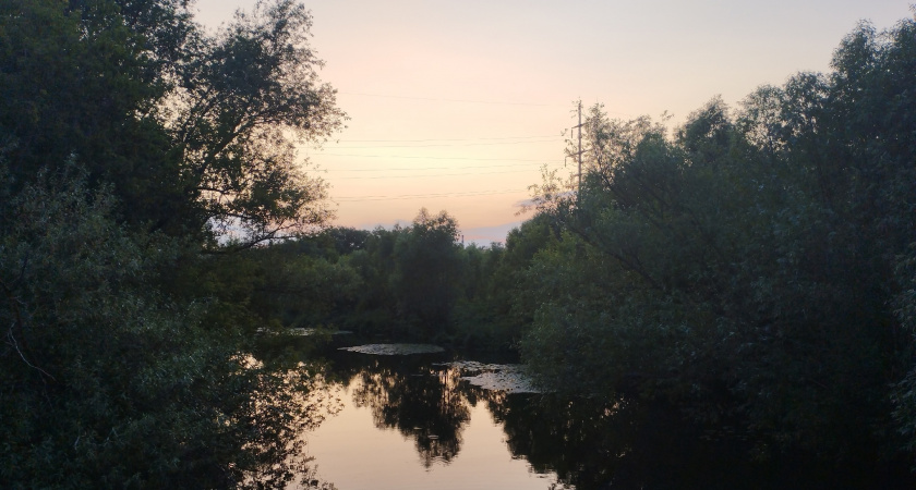 История родом из 18 века: как Георг Фридрих Штрасс вошел в историю благодаря одной "неудаче