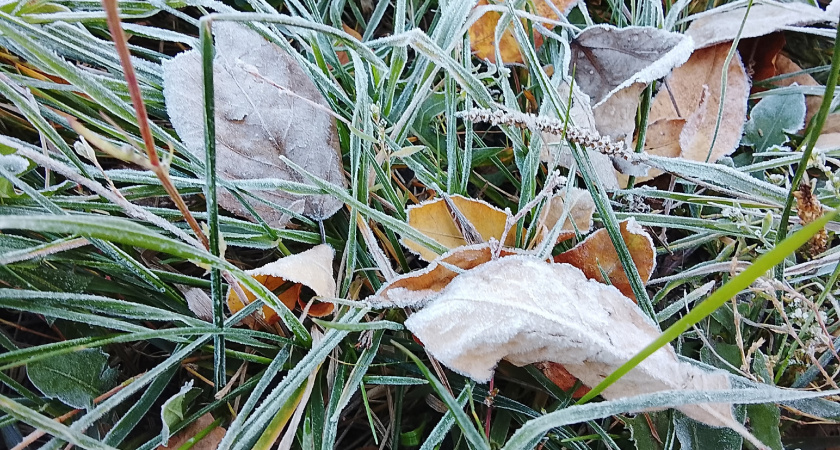 Скандинавский антициклон надолго задержался в Оренбургской области