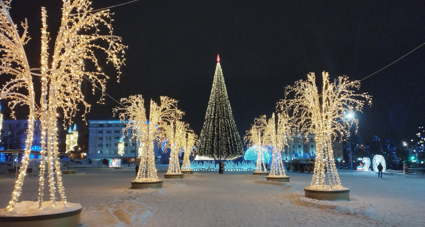 В Оренбурге к Новому году купят тысячи живых сосен