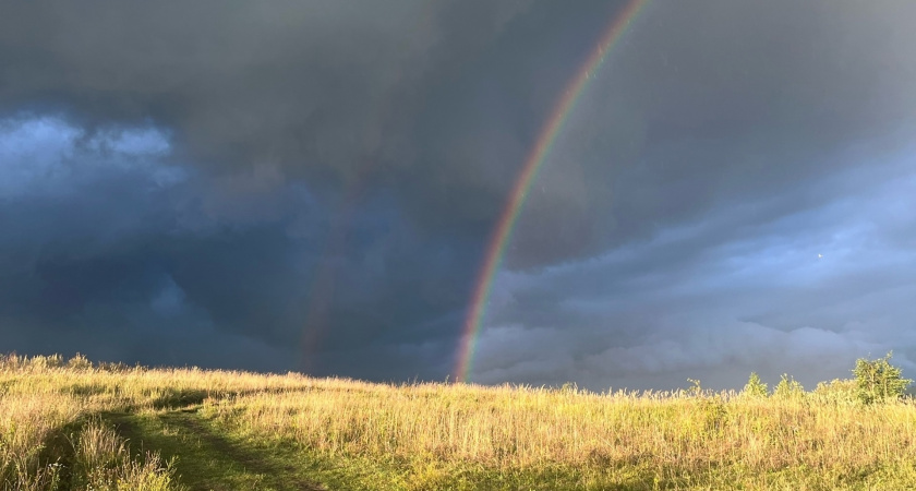 Оренбургские аграрии собрали 4 миллиона тонн зерна