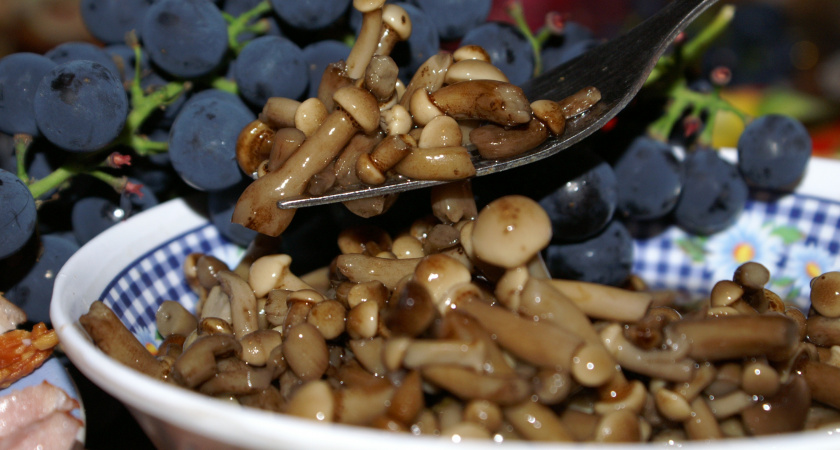 Рецепт маринованных рыжиков с чесноком и подсолнечным маслом