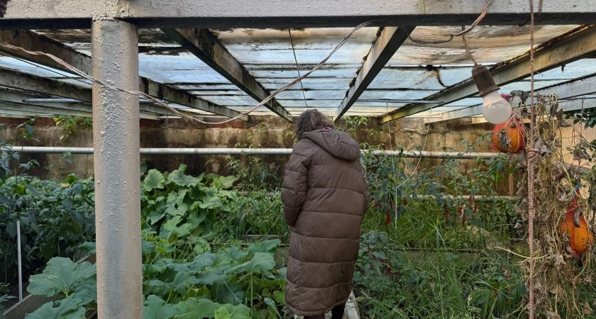 Костная мука как одно из удобрений, обогащающее почву едва ли не сильнее всех остальных: вот в чем заключается ее дивная сила