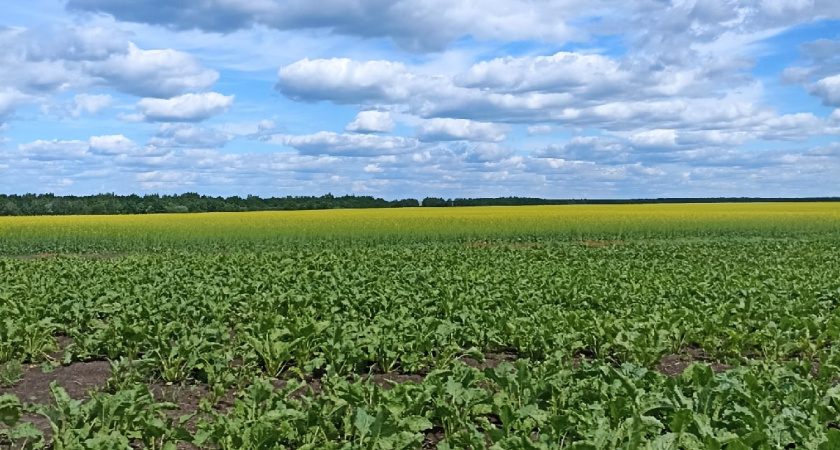 На Оренбургских аграриях завершается уборка урожая