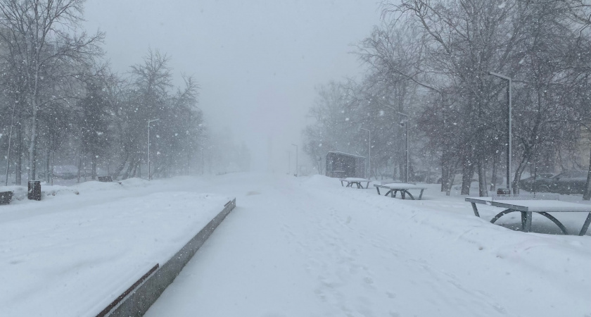Зима-2026 будет безжалостна: синоптики призвали дачников и пожилых готовиться к худшему - точный прогноз