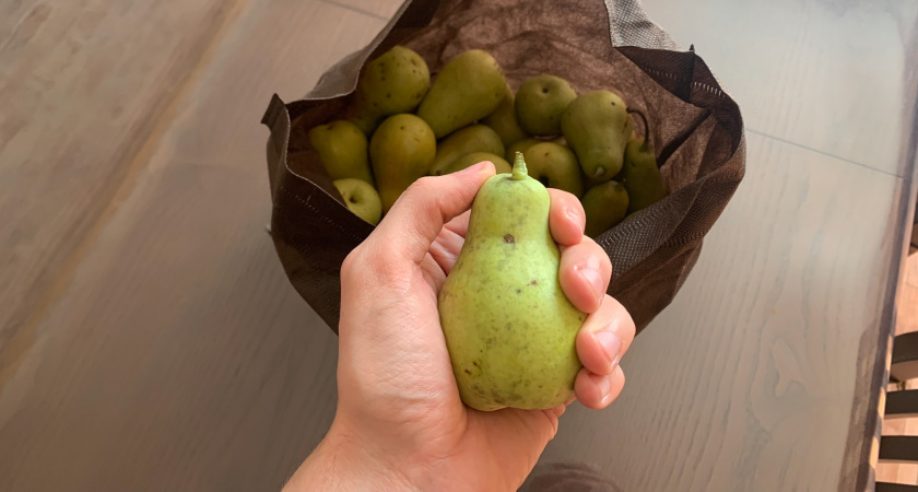 Почему не следует отдавать излишки своего урожая кому бы то ни было