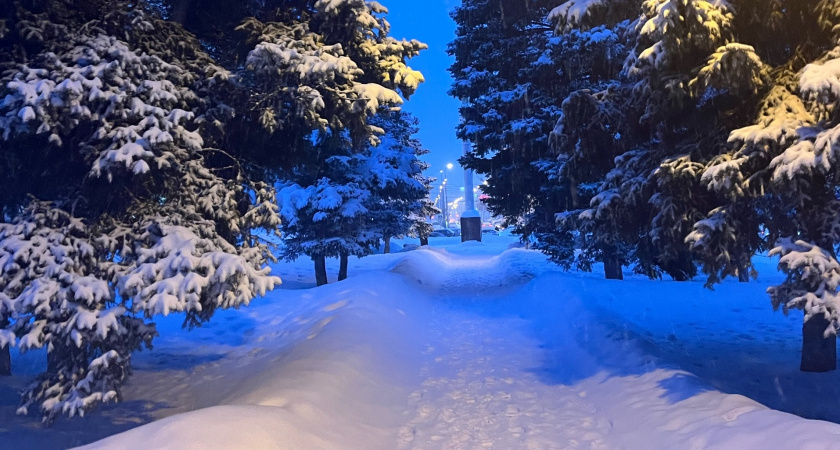 Прогноз синоптиков на зиму 2025-2026