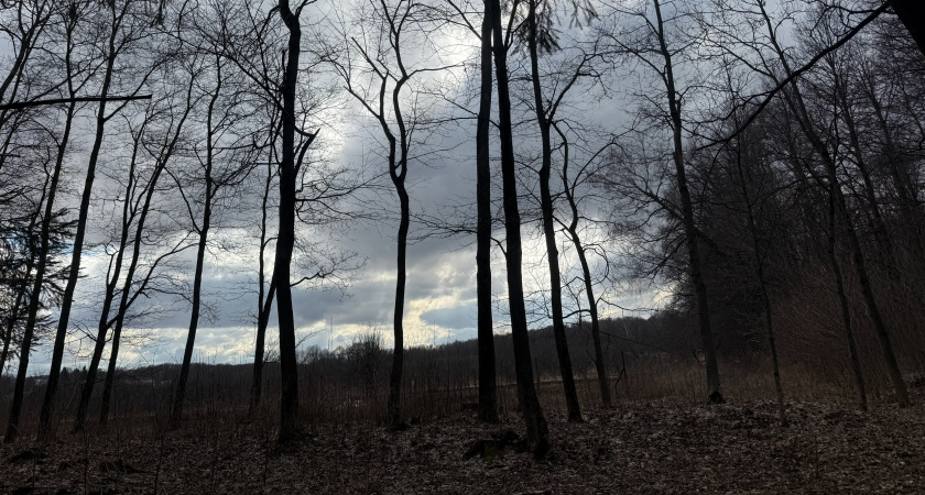 История фермеров, по счастливой случайности, ниспосланной Богом, создавших инновационный метод производства стекла