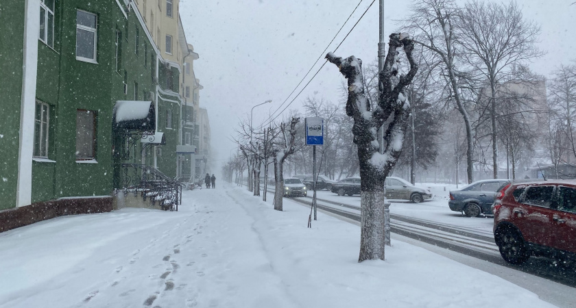 Метеорологический прогноз на предстоящую зиму