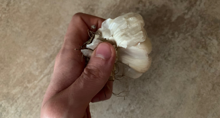 Применение чесночной шелухи с пользой для дома, здоровья и сада