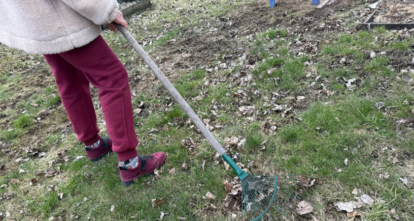 Польза и вред очищения участка от листьев 