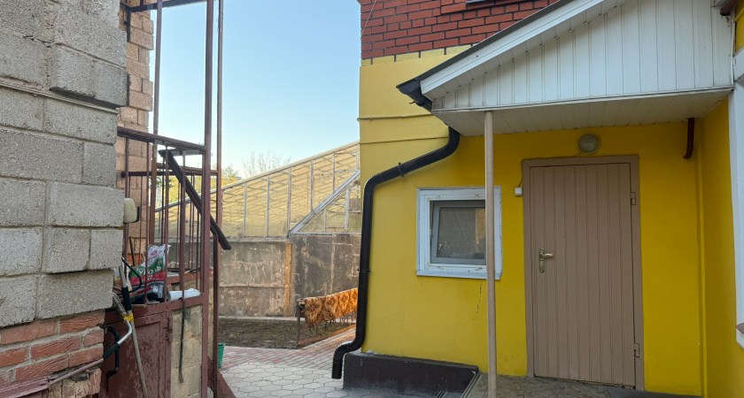 Оренбуржцев предупреждают, что мыши и крысы бегут от холода в дома людей