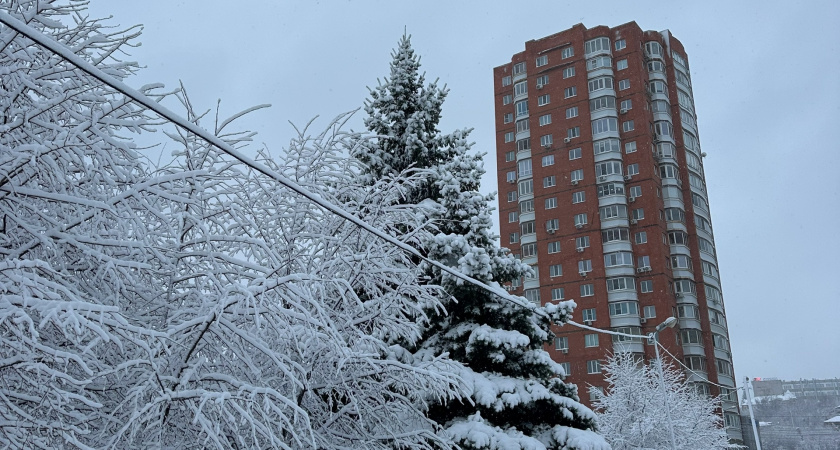 Прогноз погоды в России на ноябрь, декабрь, январь и февраль: что Матушка-Природа готовит для всех россиян