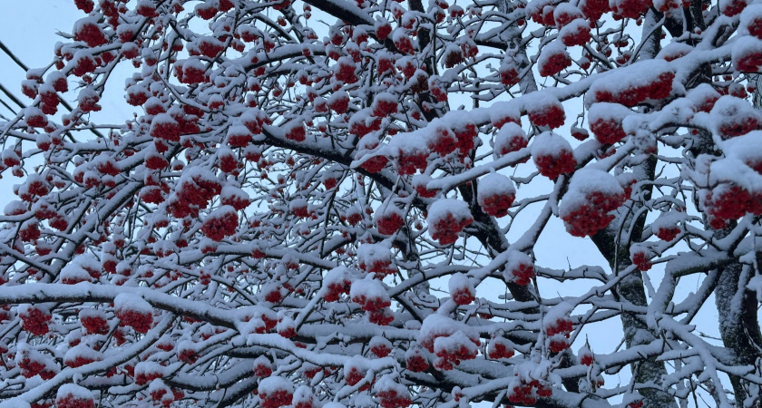 Прогноз погоды в России на конец октября 2025 и грядущую зиму — чего ожидать от хитрющего климата