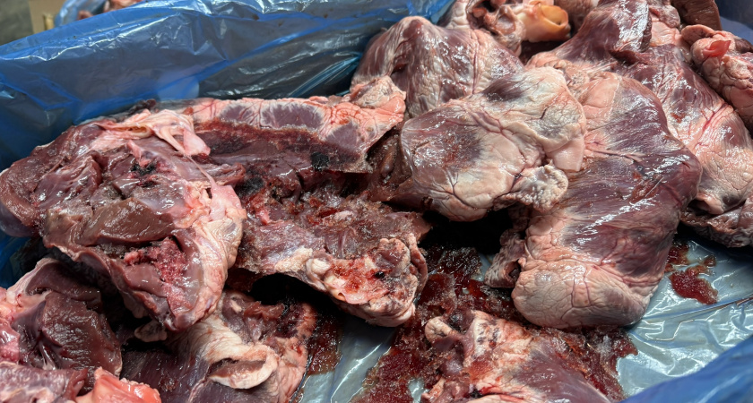 История покупки мяса в «Светофоре», оказавшегося совсем безвкусным